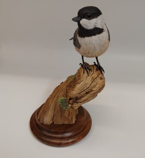 Black Capped Chickadee  7x5x3.75  $685 at Hunter Wolff Gallery